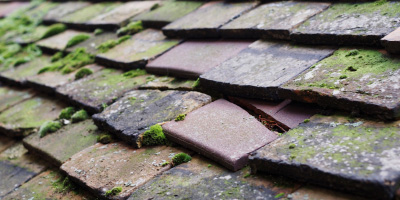 Penbryn roof repair costs